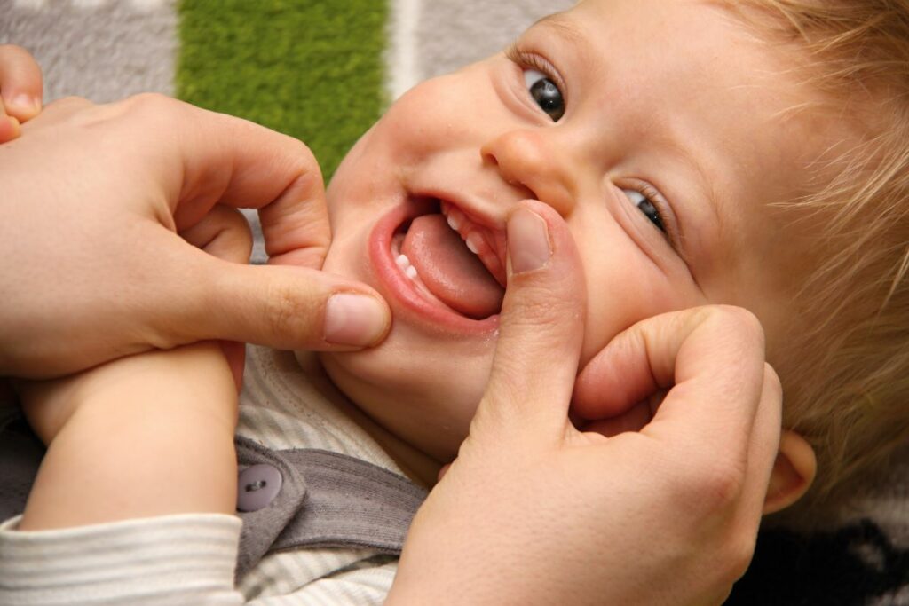 Babyzähne Reihenfolge