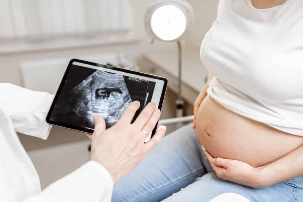 entwicklung bauch schwangerschaft